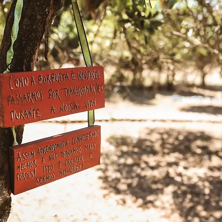 Alloggio in famiglia Quinta Cacadoras - Animal Lovers Only *