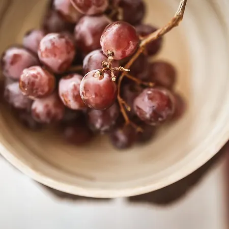 Quinta Cacadoras - Animal Lovers Only Alloggio in famiglia Palmela