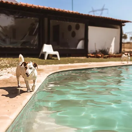 Quinta Cacadoras - Animal Lovers Only * パルメラ