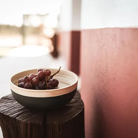 Alloggio in famiglia Quinta Cacadoras - Animal Lovers Only